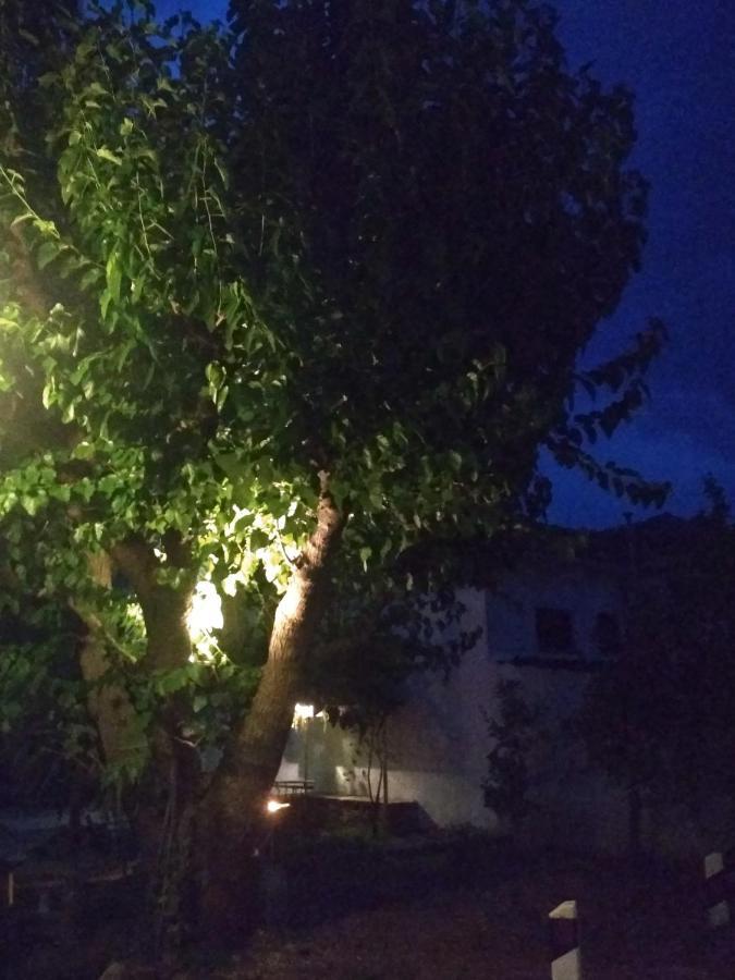 Kalama Apartments Kálamos Екстериор снимка